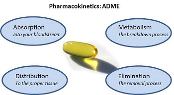 毒代动力学的吸收、分布、代谢、排泄