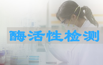 不朽情缘mg官网酶活性测定服务