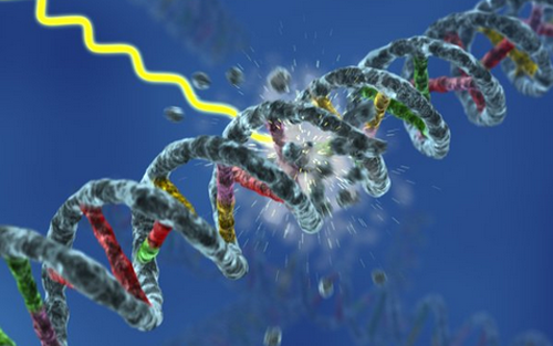 Nature：癌症治疗发现新靶点