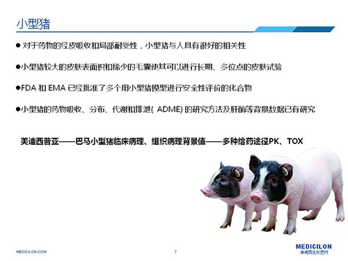 皮肤涂抹试验中，受试动物选择小型猪更好