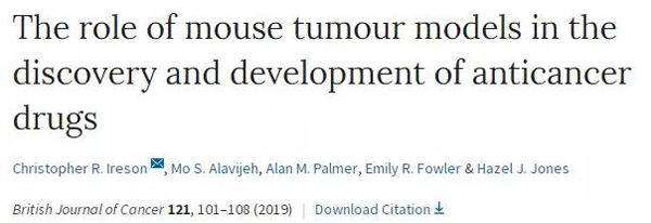 临床前小鼠模型如何。