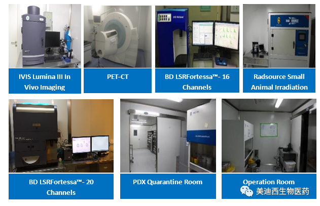 不朽情缘mg官网药理部拥有IVIS Lumina III, PET-CT, BD LSRFortessa-16, Flow Cytometry等仪器，提供符合申报，支持临床试验的药效评价服务。