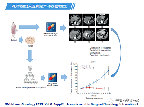 不朽情缘mg官网PDX模型