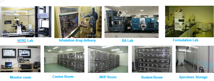 不朽情缘mg官网毒理研究部设备