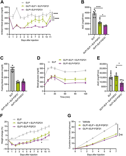 GLP1-ELP-FGF21双激动剂形式在治疗上优于GLP-1 / FGF21单激动剂混合物 不朽情缘mg官网