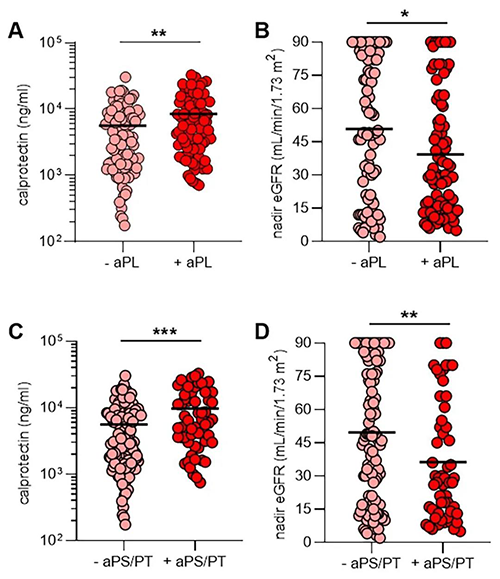 aPL抗体、NET释放和肾功能