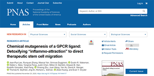 世界首创：药物将干细胞引导至受损部位，提高其愈合能力！