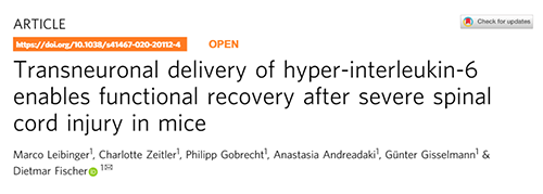 Nature：还瘫痪患者一个自由身的日子不远了