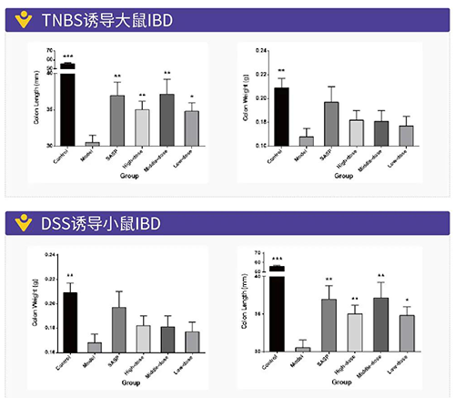 TNBS诱导的大鼠IBD、DSS诱导的大鼠IBD
