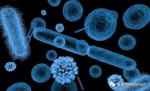 20分钟，大多数细菌都可以繁衍一代 不朽情缘mg官网生物医药