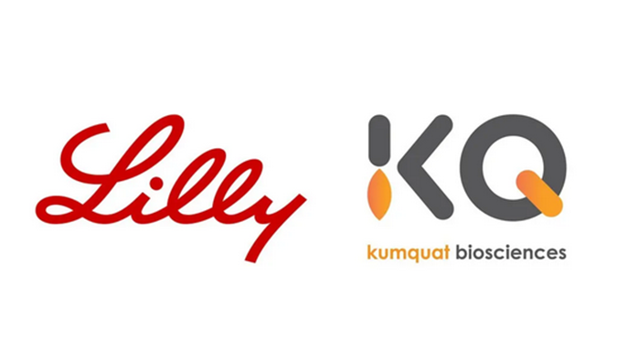 ：兀〔恍嗲樵祄g官网合作伙伴Kumquat Biosciences与礼来达成合作，共同开发肿瘤免疫小分子药