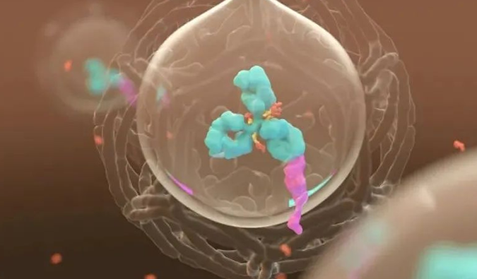 美研 | 不朽情缘mg官网带您了解ADC微妙之处