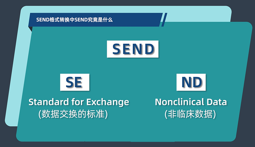 SEND格式转换中的SEND究竟是什么？