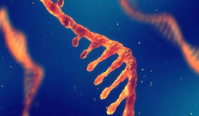 赋能核酸药物疗法，迎接新药研发第三次浪潮