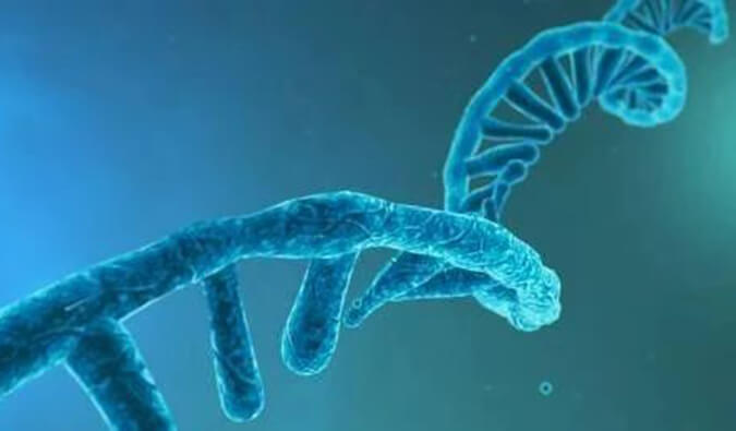 美研丨寡核苷酸药物市场前景、发展挑战及应对策略