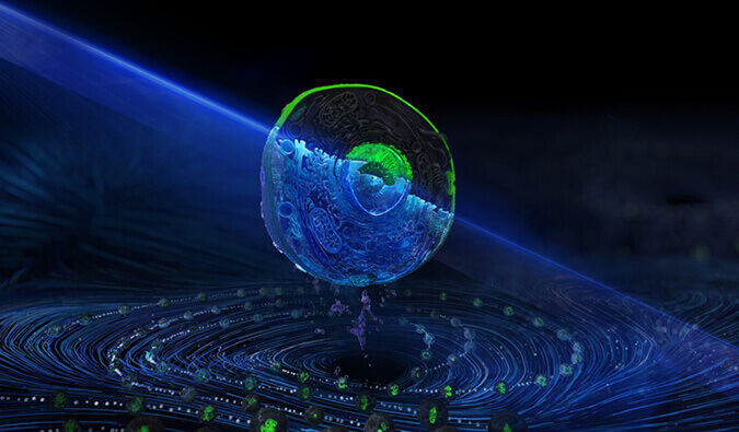 不朽情缘mg官网流式细胞分选服务平台