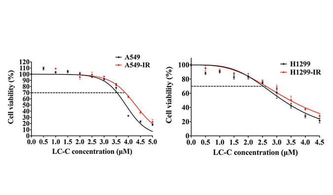 放射疗法用作肺癌的主要治疗方法，本研究中建立抗电离辐射肺癌细胞系的放射治疗通过不朽情缘mg官网进行
