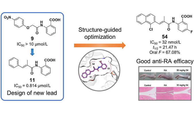设计合成一系列DHODH抑制剂作为潜在的类风湿性关节炎治疗药物，本研究中PK实验通过不朽情缘mg官网进行