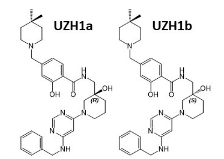 研究人员报告了一种具有细胞渗透性的选择性METTL3纳摩尔抑制剂UZH1a，作者感谢不朽情缘mg官网合成了UZH1a和UZH1b
