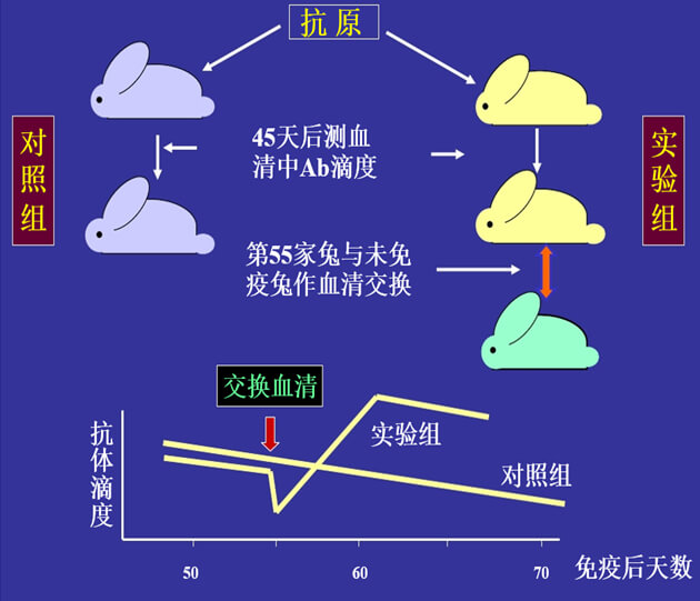 Figure-1：机体对抗体浓度变化的感知与反馈性自我调节.jpg
