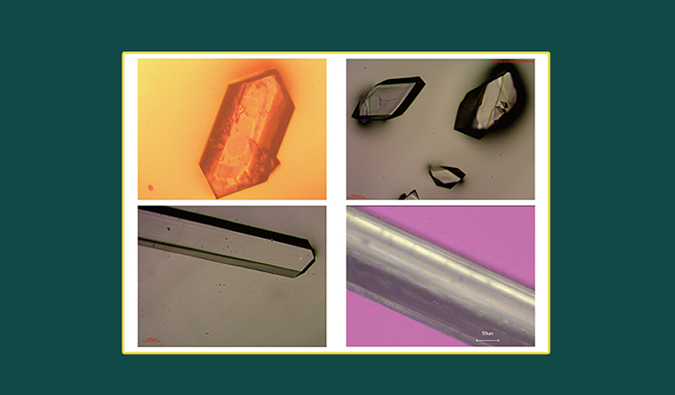 美研| CMC系列(十二)：单晶结构解析在药物开发中的应用和单晶培养哪些事儿