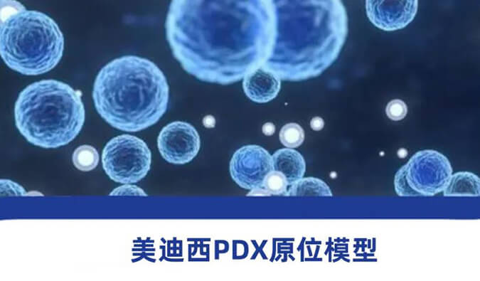 不朽情缘mg官网118种PDX原位模型，助力肿瘤药物研发