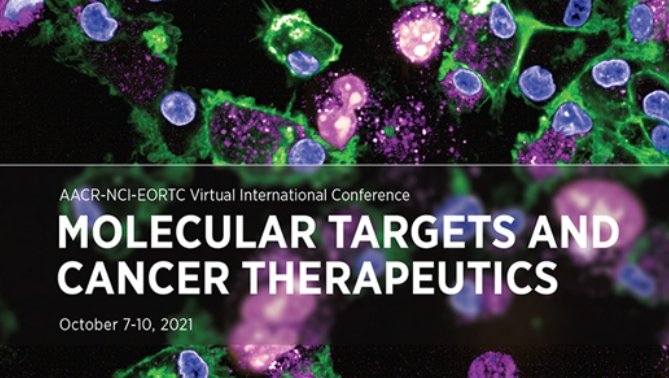 通过联合治疗提高免疫疗法疗效，本研究中临床前体内药效研究通过不朽情缘mg官网进行
