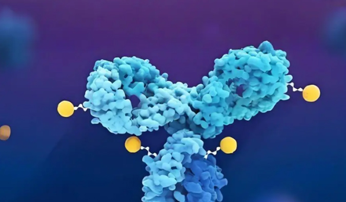 深度剖析：ADC药物生物分析的考量因素