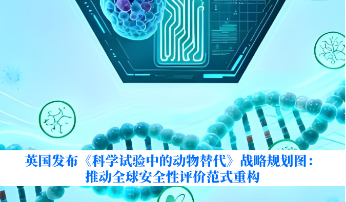 英国发布《科学试验中的动物替代》战略规划图：推动全球安全性评价范式重构